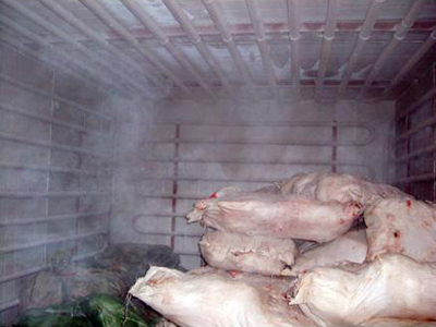  &nbsp; &nbsp; &nbsp; &nbsp; 深圳冷庫安裝